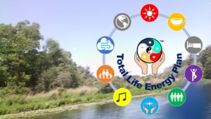 Total Life Energy Plan
