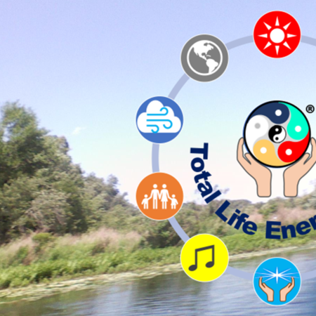 Total Life Energy Plan