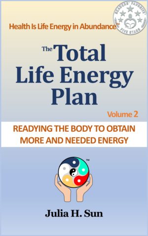 The Total Life Energy Plan: How to Cultivate Life Energy for Long-Term Health and Vitality - Image 5