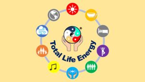 Total Life Energy